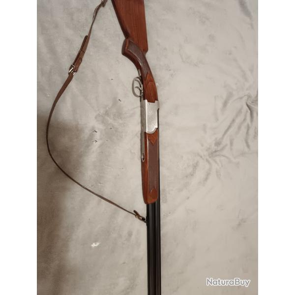 Verney carron Sagittaire canon ray