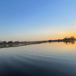 GIBIER D'EAU ET DE TERRE AU SENEGAL