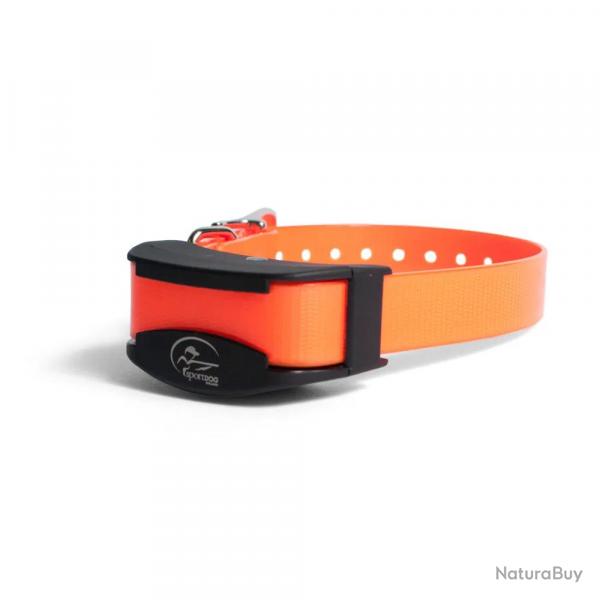 Collier de Dressage Supplmentaire SportDOG - Petit Chien