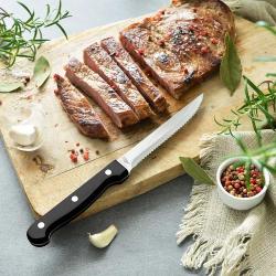 Lot 6 couteaux 22 cm à steak lame inox Pradel France