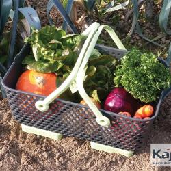 Panier de récolte Kajo 15L - Empilable, perforé, pliable