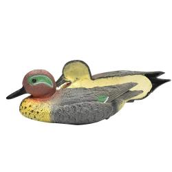 Sarcelle d'hiver moussée avec quille lestée Femelle
