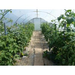Mini serre de jardin avec aération Largeur 3.70 m 4,5 mètres