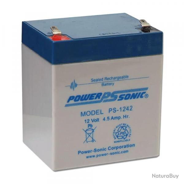 Batterie 12V Rechargeable capacité 4.5 AH