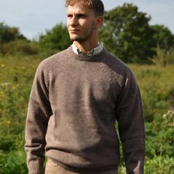 Pull Roanne col rond brun M