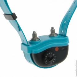 Collier anti-aboiement pour chien à fort caractère "Canicalm Excel"