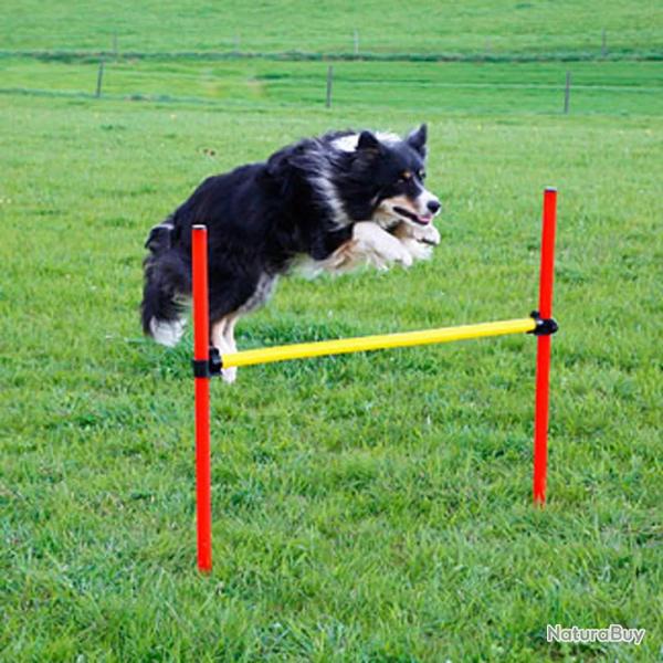 Kit complet d'agilité pour chien Agility en 3 parties