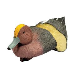Canard Siffleur moussé avec quille lestée mâle ou femelle Mâle