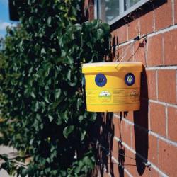 Seau Piège À Mouches Fly Appibuster 90% de mouches en moins