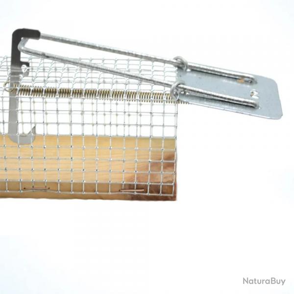 Cage pige  souris 2