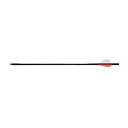 6 Flèches Airjavelin pointe field tip fibre de carbone 37,8cm