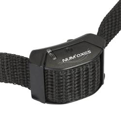 Collier anti-aboiement petit chien Numaxes®