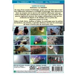 DVD : Carpes en rafales : Stratégies d'amorçage gagnantes