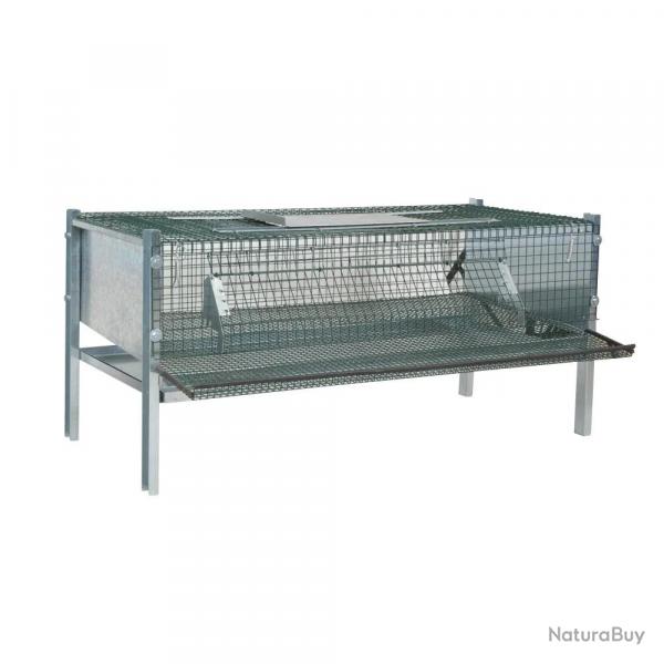 Cage en maille galvanise pour cailles pondeuses (mini)