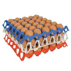 Plateau oeufs plastique empilable 30X30 CM alimentaire unité ou lot de 10 Lot de 10