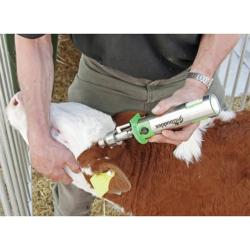 Ecorneur à gaz Buddex acier inoxydable 15 mm