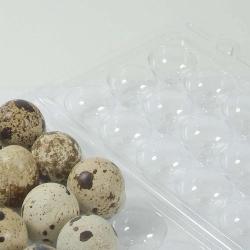 Boites à oeufs de caille plastique 18 oeufs lot de 125 ou 500 Lot de 125