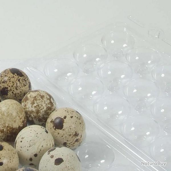Boites  oeufs de caille plastique 18 oeufs lot de 125 ou 500 Lot de 125
