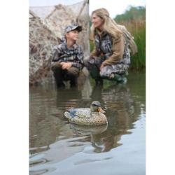 Pack de 6 Colvert Femelle Ultra HD moussé