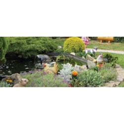 Bassin de jardin préformé 150 L