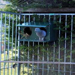 Pigeonnier extérieur 2 places thermolaq. vert