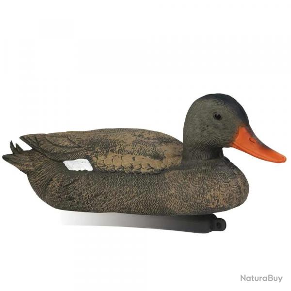 Blette de Chipeau Femelle en plastique résistant
