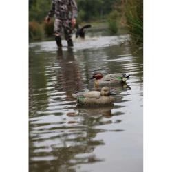 Pack de 6 Sarcelle Femelle Ultra HD moussé en plastique