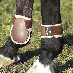 Protège boulets PVC Poney Coque brune, néo beige