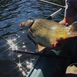 Lot de 2 DVD : Carpes en grands lacs