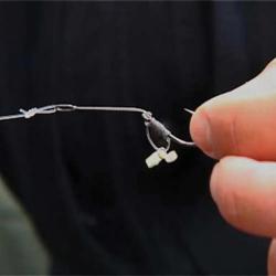 Lot de 2 DVD : Carpes en grands lacs