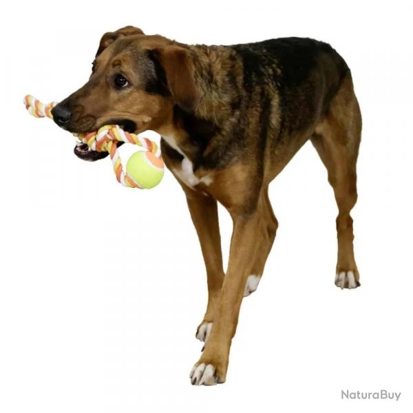 Jeu chien Balle de tennis avec poigne 37 cm