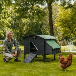 Poulailler sur pieds en plastique recyclé 8 à 15 poules