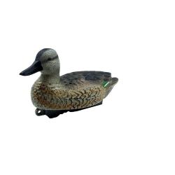 Appelant Sarcelle d'hiver femelle HD 30 x 17cm Lot de 6