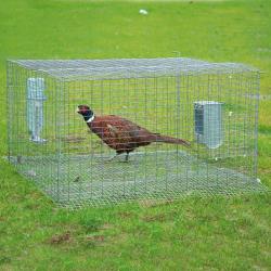 Cage de pré-lâcher galvanisée thermolaquée vert