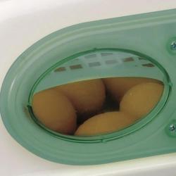 Couveuse automatique River Systems Egg Tech 49 + humidificateur Nébula