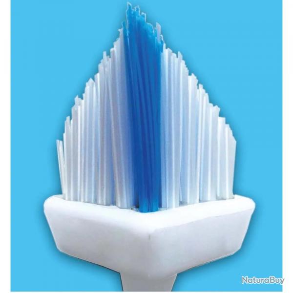 Brosse  Joints