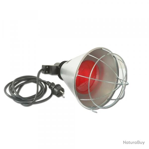 leveuse lectrique poussins 220 V