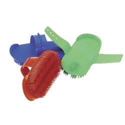 Etrille finlandaise Petite