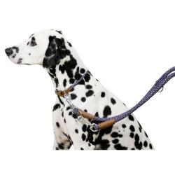 Collier pour chien en corde 30 - 40 cm 30 - 40 cm