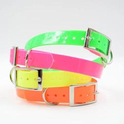 Collier chien fluo BIOGOLD taille standard 4 couleurs Orange
