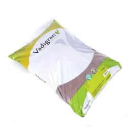 Graines de lin VADIGRAN dépoussiérées 1kg, 4kg, 20kg 4 kg