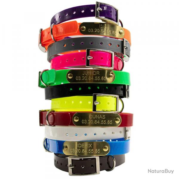 Collier à graver sur plaque BIOGOLD petit chien et chiot 11 couleurs Orange fluo