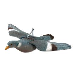 Appelant pigeon plein à ailes déployées