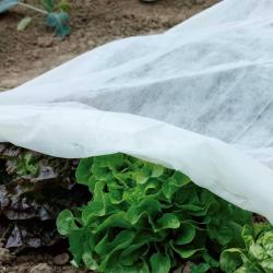 Voile polypropylène 1,5 x 5 m