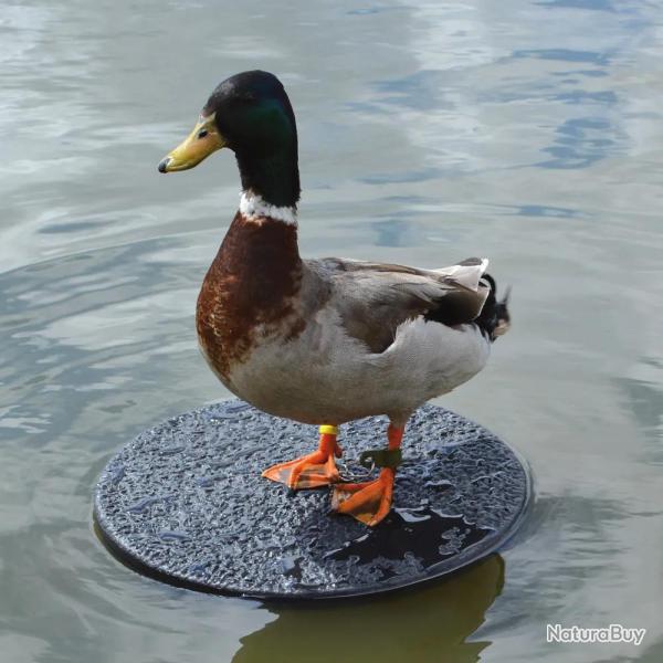 Plateau flottant pour appelant plastique solide diamtre 34 cm