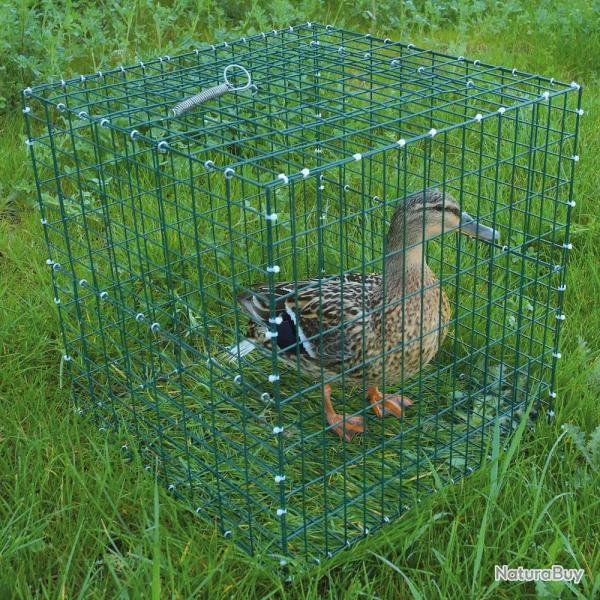 Cage pour chanteuse pliable 30x30x30cm à l'unité