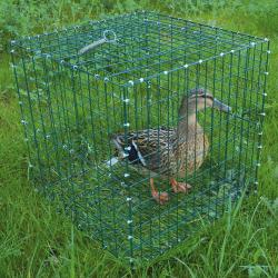 Lot de 10 Cages pour chanteuse pliable 30x30x30cm