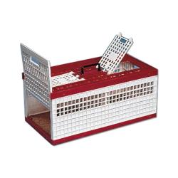 Cage de transport petit gibier plastique 60 X 30 X 26 cm