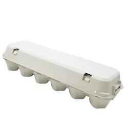 Lot 124 boites à oeufs de 12 oeufs carton