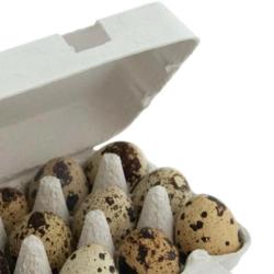 Lot de 65 ou 585 boites oeufs caille carton de 18 oeufs Lot de 65